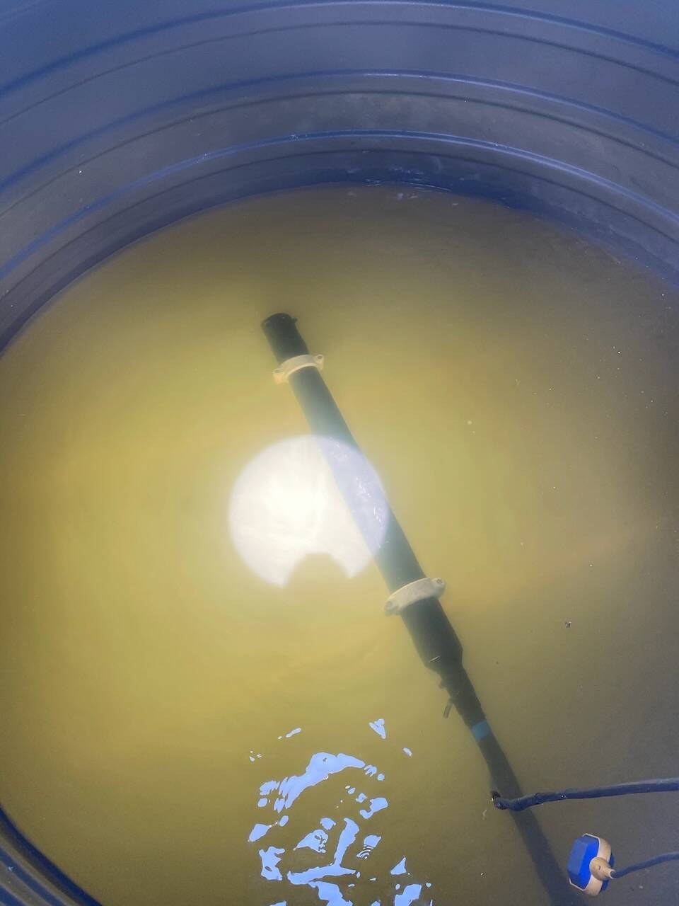 Submersible pump in a tank of discoloured water